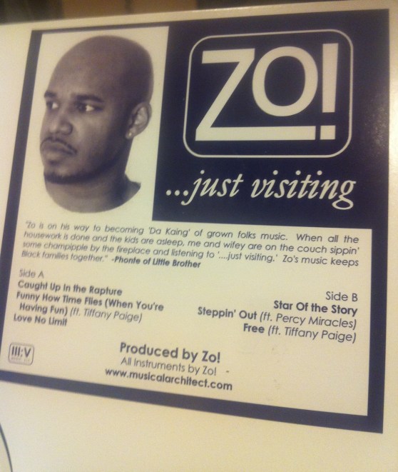 ...just visiting (2006) Vinyl